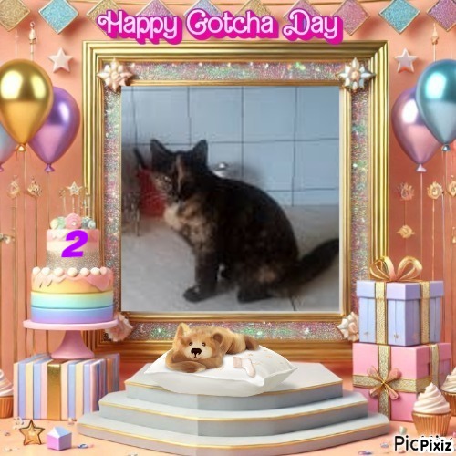 Princess Coco of the zoza1958 family