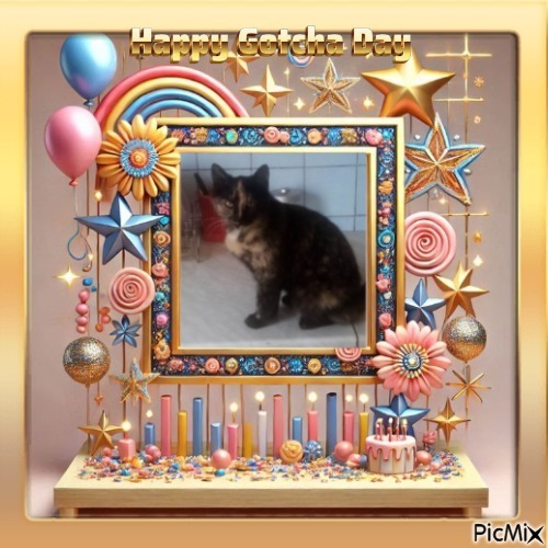 Princess Coco of the zoza1958 family