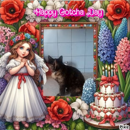 zoza1958 uploaded   79  day/s  ago