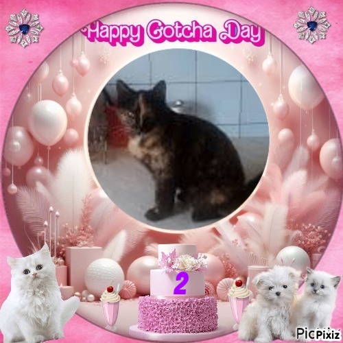 Princess Coco of the zoza1958 family