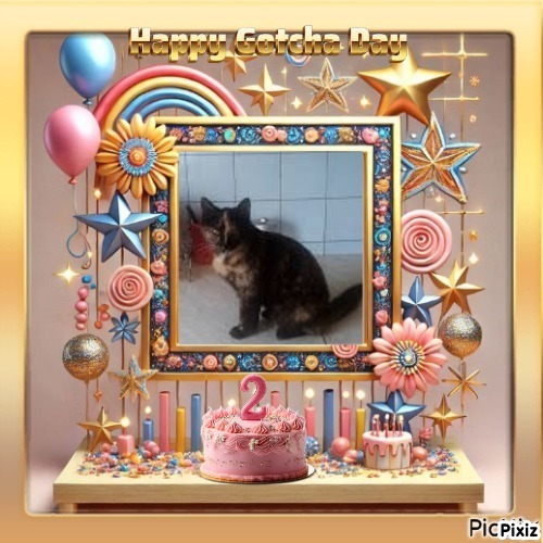 zoza1958 uploaded   79  day/s  ago