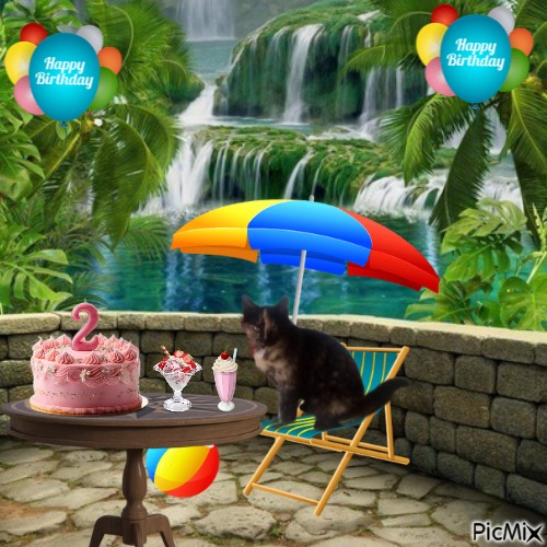 Princess Coco of the zoza1958 family