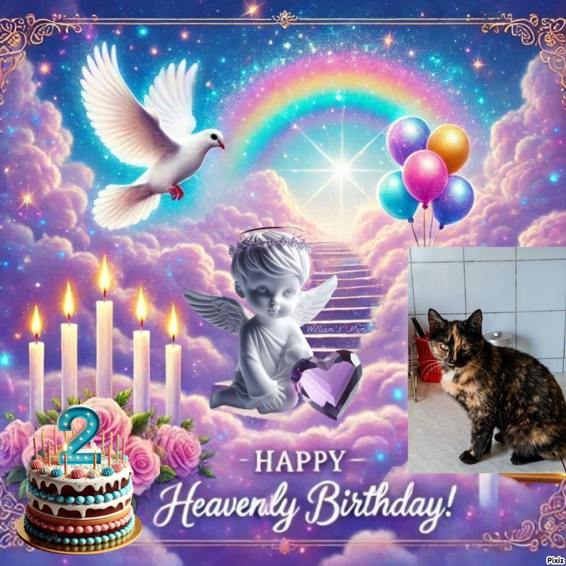 zoza1958 uploaded   8  day/s  ago