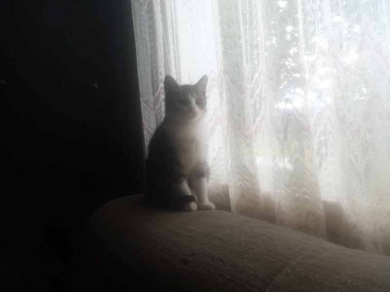 zoza1958 uploaded   204  day/s  ago