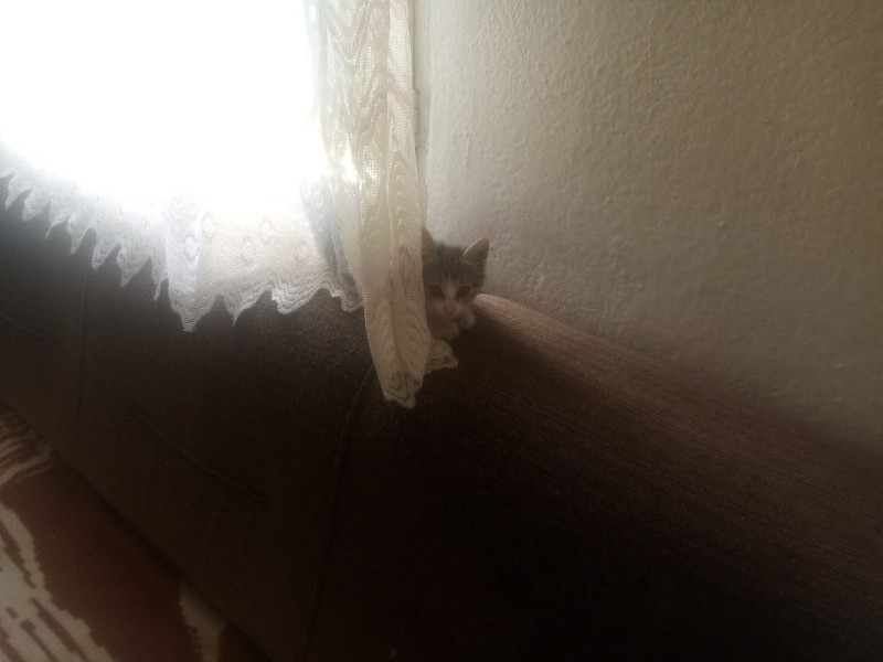 zoza1958 uploaded   290  day/s  ago