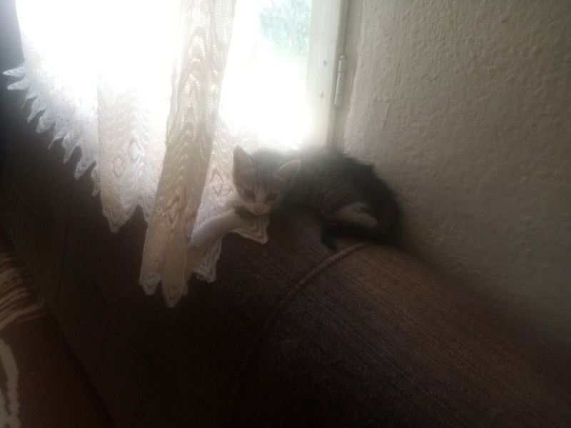 zoza1958 uploaded   290  day/s  ago