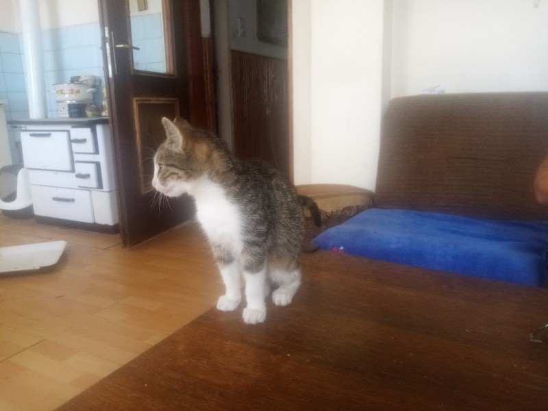 zoza1958 uploaded   214  day/s  ago