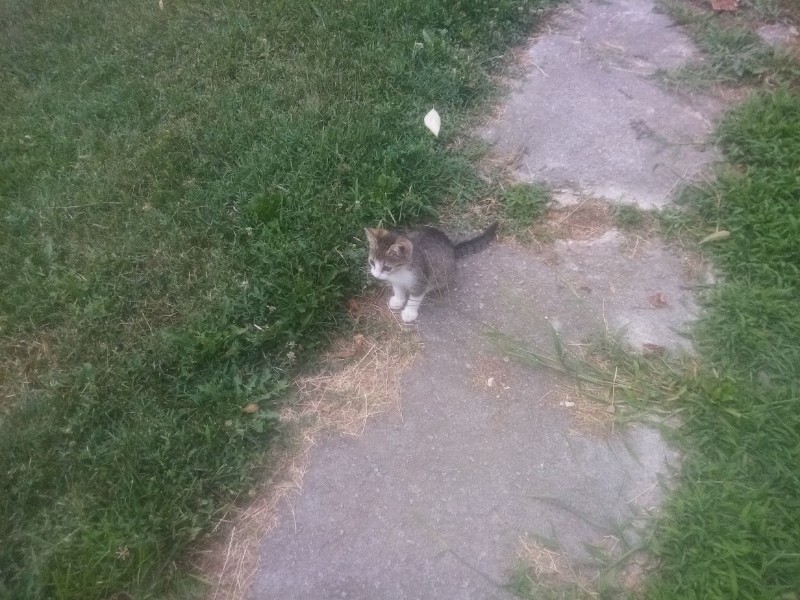 zoza1958 uploaded   287  day/s  ago