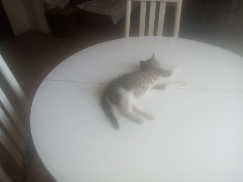 zoza1958 uploaded   290  day/s  ago