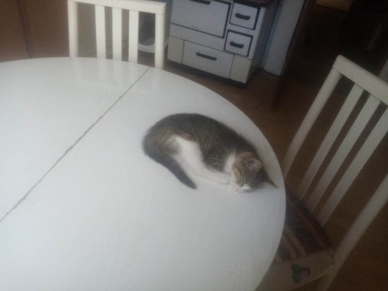 zoza1958 uploaded   287  day/s  ago