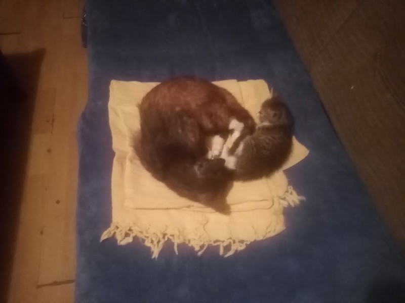 zoza1958 uploaded   290  day/s  ago