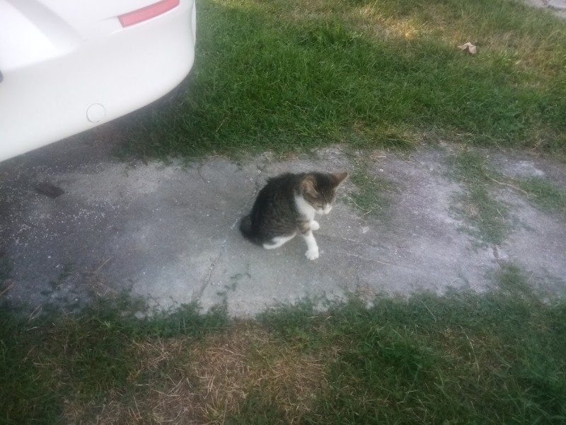 zoza1958 uploaded   236  day/s  ago