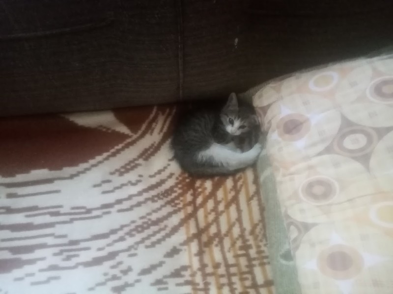 zoza1958 uploaded   290  day/s  ago