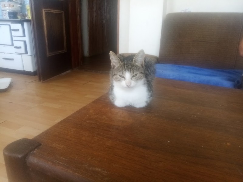 zoza1958 uploaded   214  day/s  ago