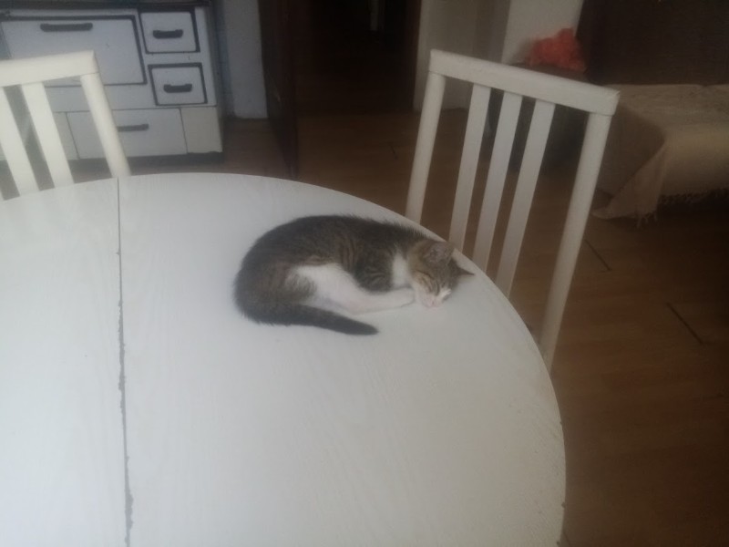 zoza1958 uploaded   287  day/s  ago