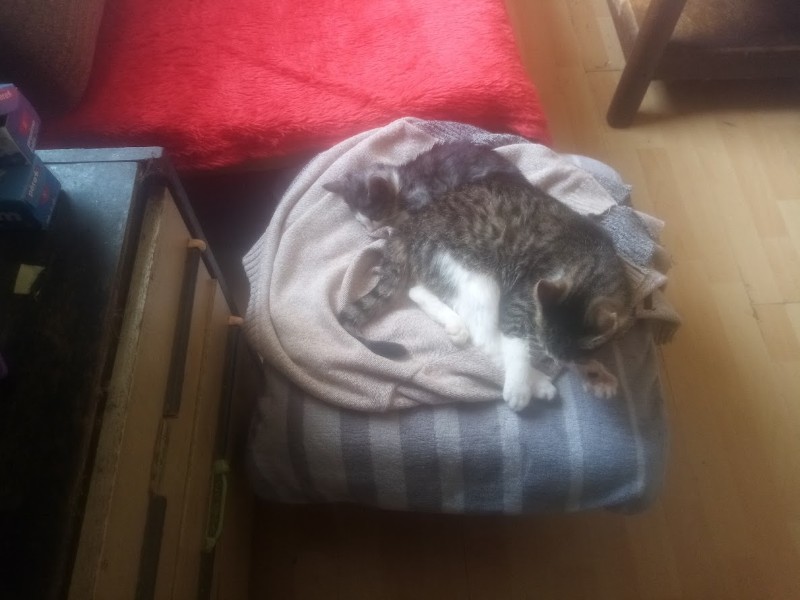 zoza1958 uploaded   185  day/s  ago