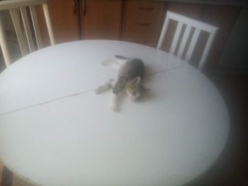 zoza1958 uploaded   290  day/s  ago