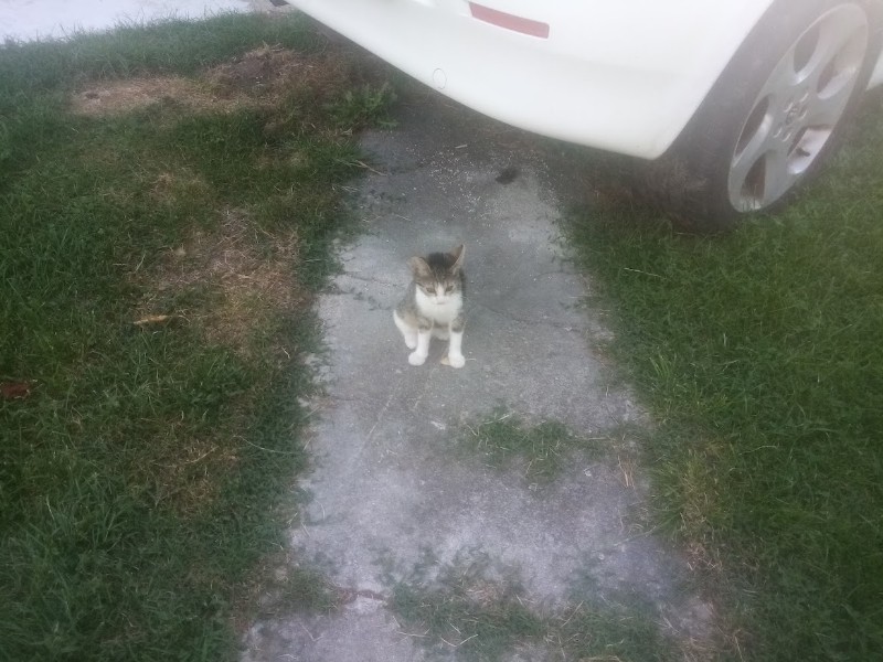 zoza1958 uploaded   236  day/s  ago