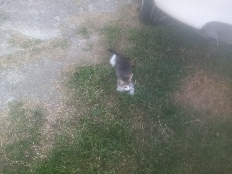 zoza1958 uploaded   290  day/s  ago