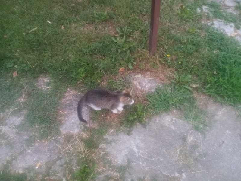 zoza1958 uploaded   287  day/s  ago