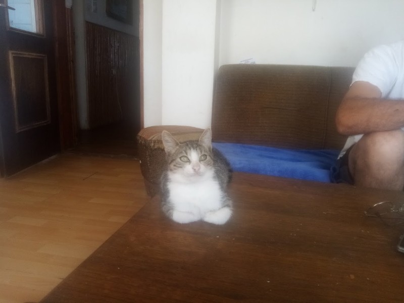 zoza1958 uploaded   214  day/s  ago