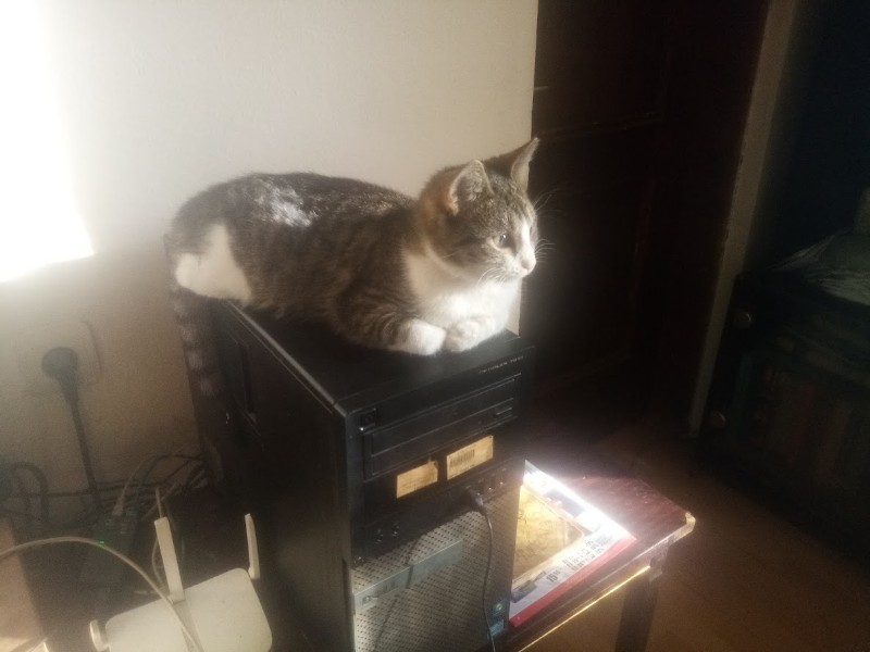 zoza1958 uploaded   171  day/s  ago