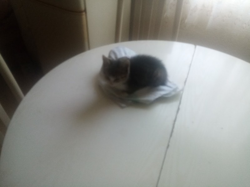 zoza1958 uploaded   290  day/s  ago