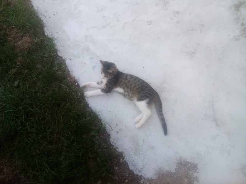 zoza1958 uploaded   252  day/s  ago