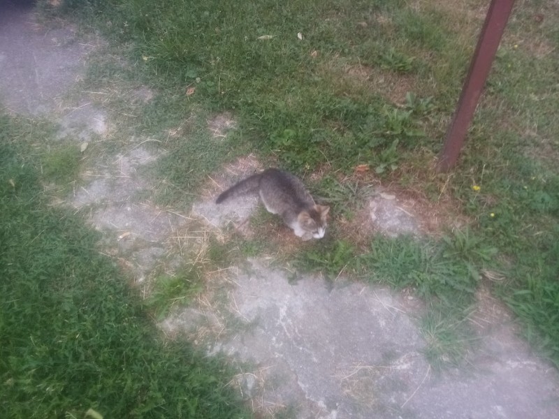 zoza1958 uploaded   287  day/s  ago