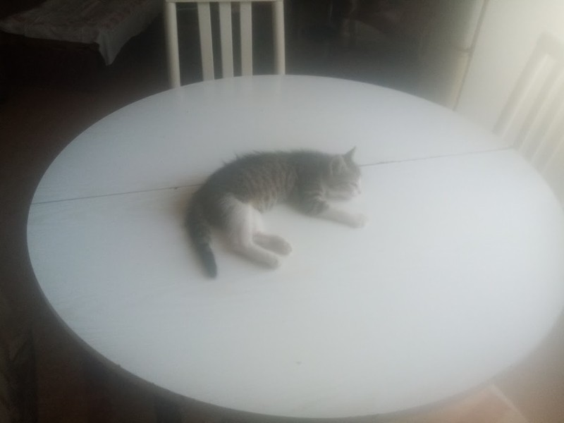 zoza1958 uploaded   290  day/s  ago