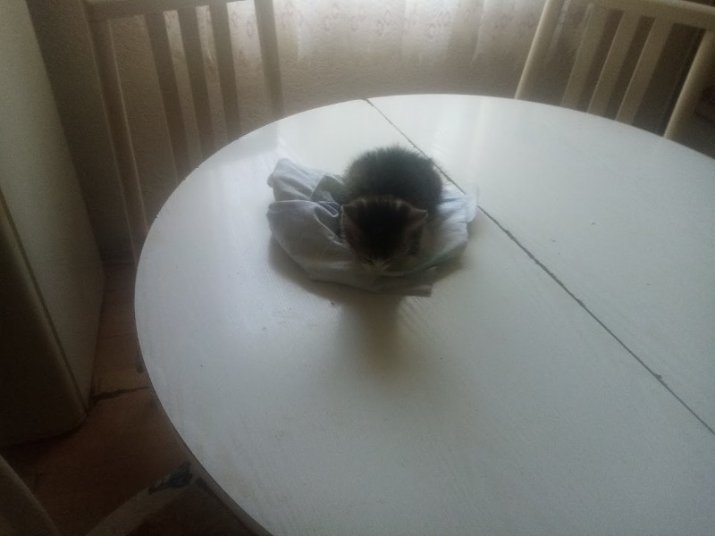 zoza1958 uploaded   290  day/s  ago