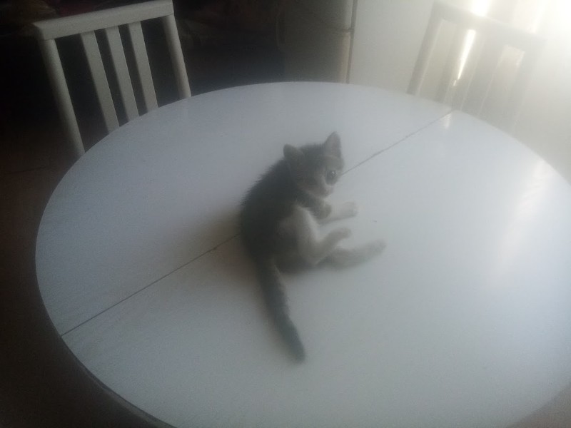 zoza1958 uploaded   290  day/s  ago