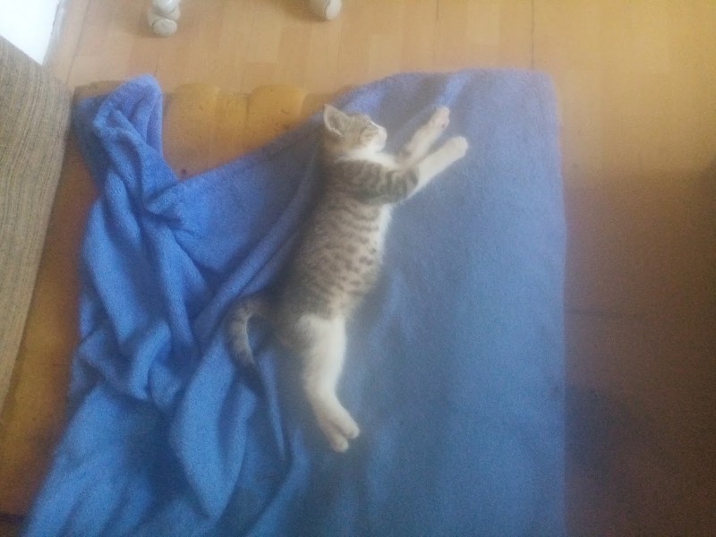 zoza1958 uploaded   290  day/s  ago