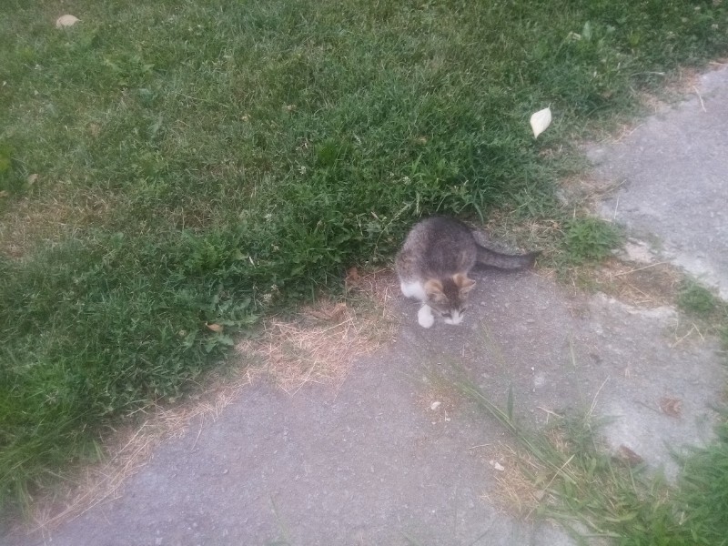 zoza1958 uploaded   287  day/s  ago