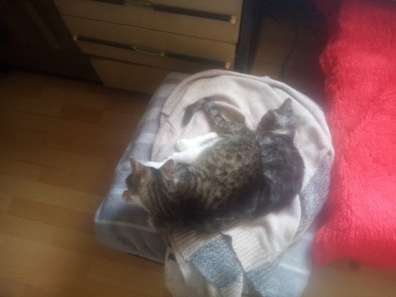 zoza1958 uploaded   185  day/s  ago