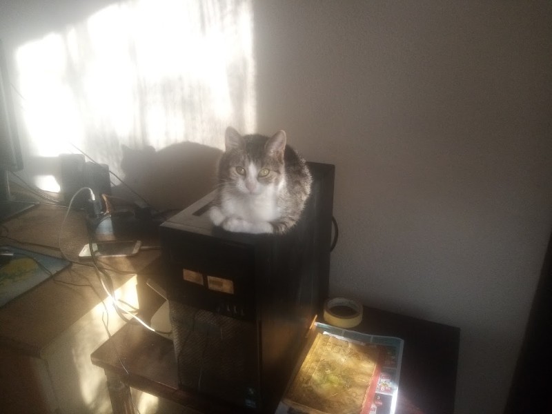 zoza1958 uploaded   171  day/s  ago