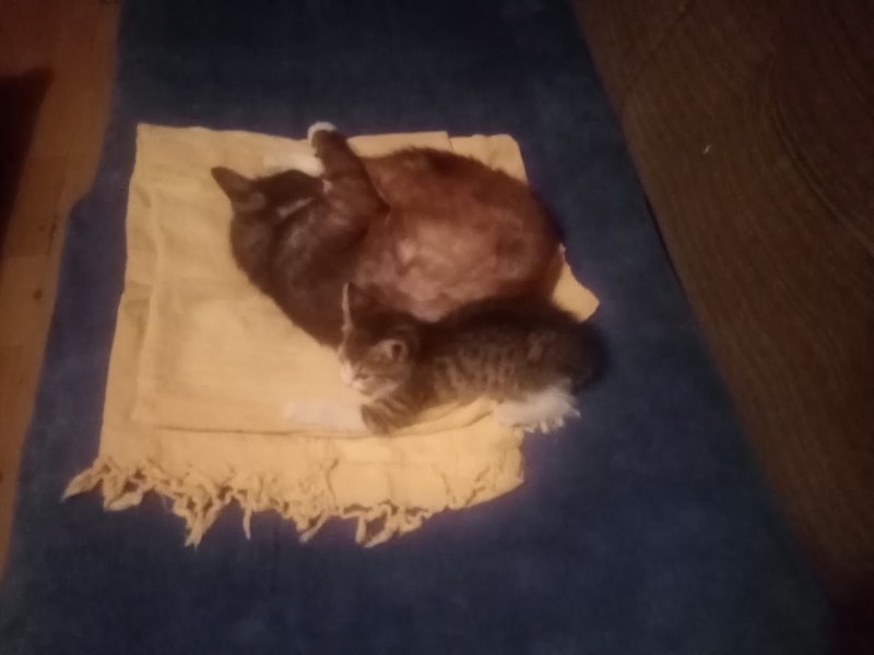 zoza1958 uploaded   290  day/s  ago