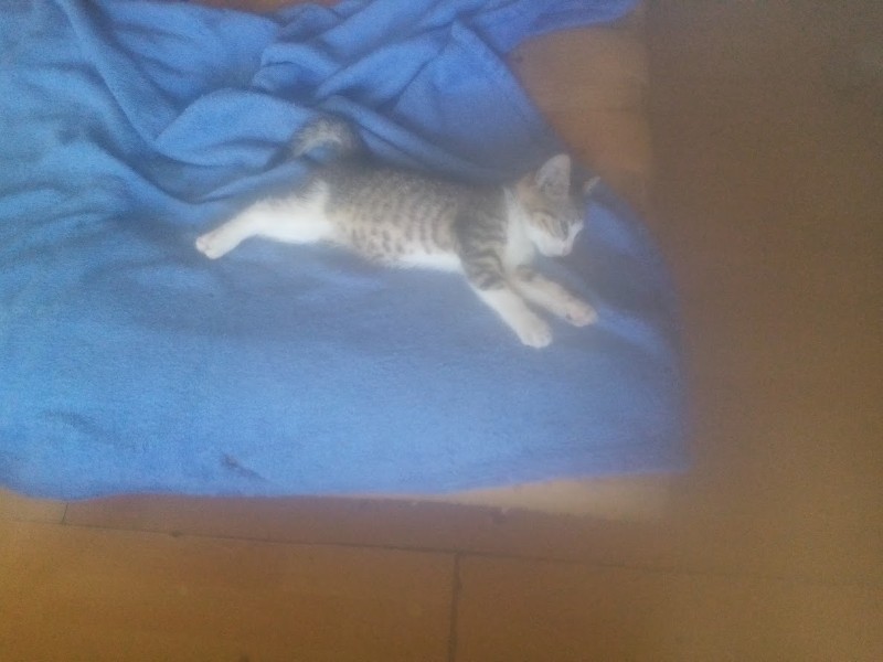 zoza1958 uploaded   290  day/s  ago