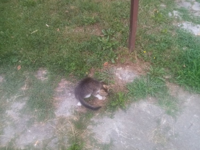 zoza1958 uploaded   287  day/s  ago