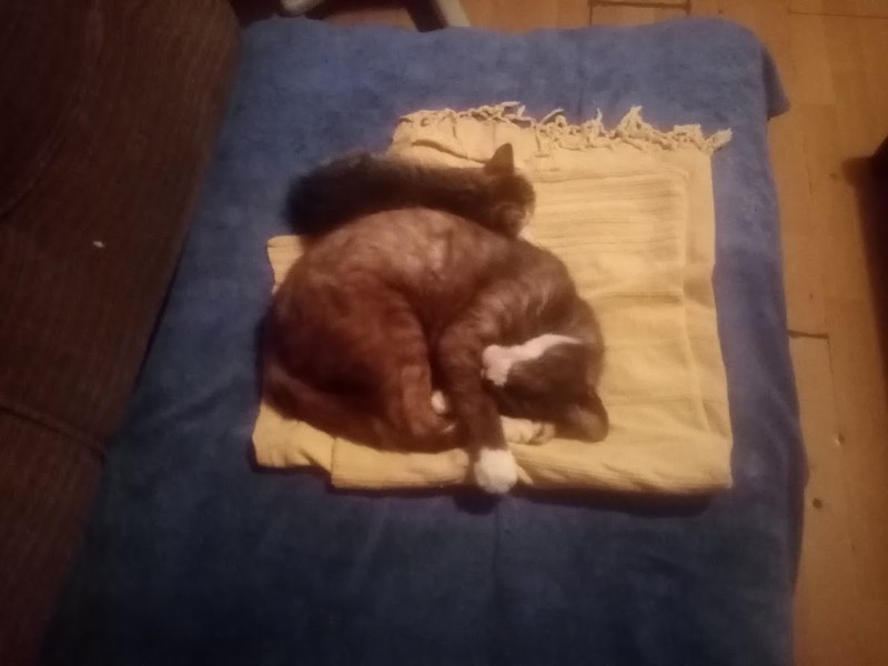 zoza1958 uploaded   290  day/s  ago