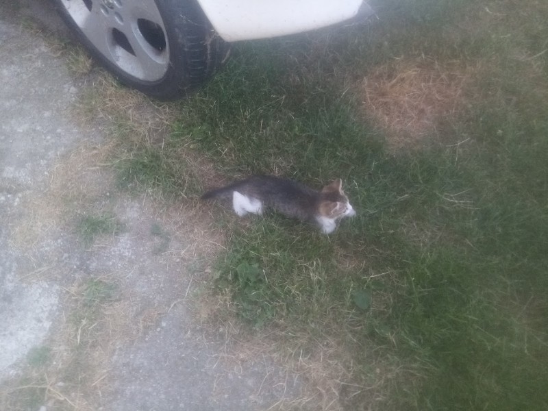 zoza1958 uploaded   290  day/s  ago