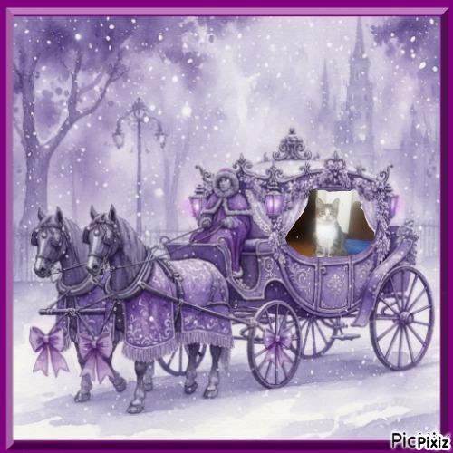 zoza1958 uploaded   96  day/s  ago