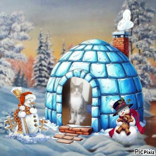 zoza1958 uploaded   99  day/s  ago