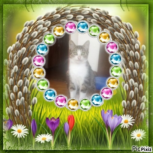 zoza1958 uploaded   16  day/s  ago