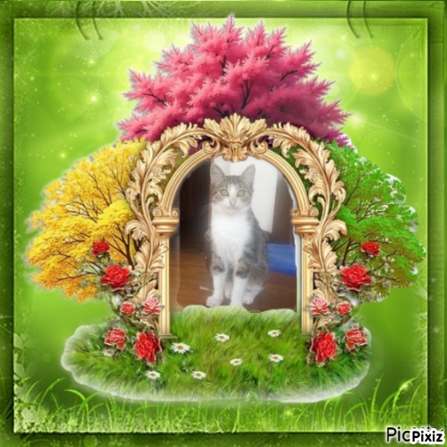 zoza1958 uploaded   49  day/s  ago