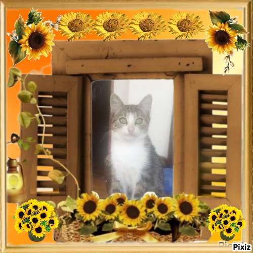 zoza1958 uploaded   75  day/s  ago