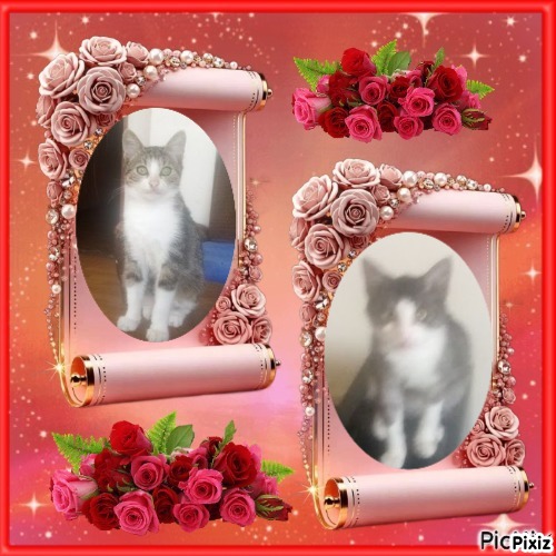 zoza1958 uploaded   75  day/s  ago