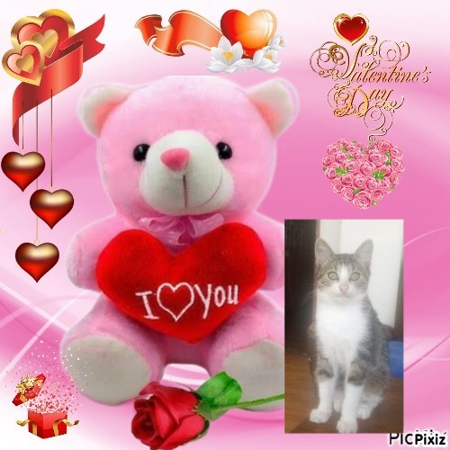 zoza1958 uploaded   71  day/s  ago