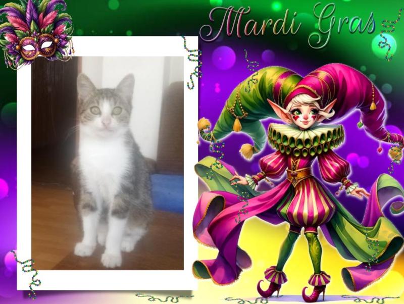 Princess Gricka of the zoza1958 family