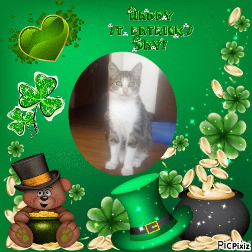 zoza1958 uploaded   31  day/s  ago